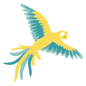 Bird Flying Right