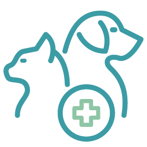 Wellness Care Icon