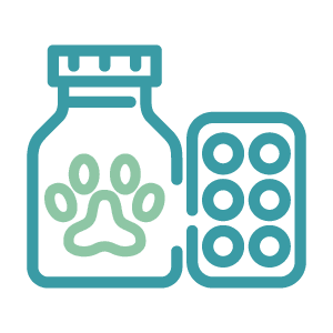 Prescription Refill Icon