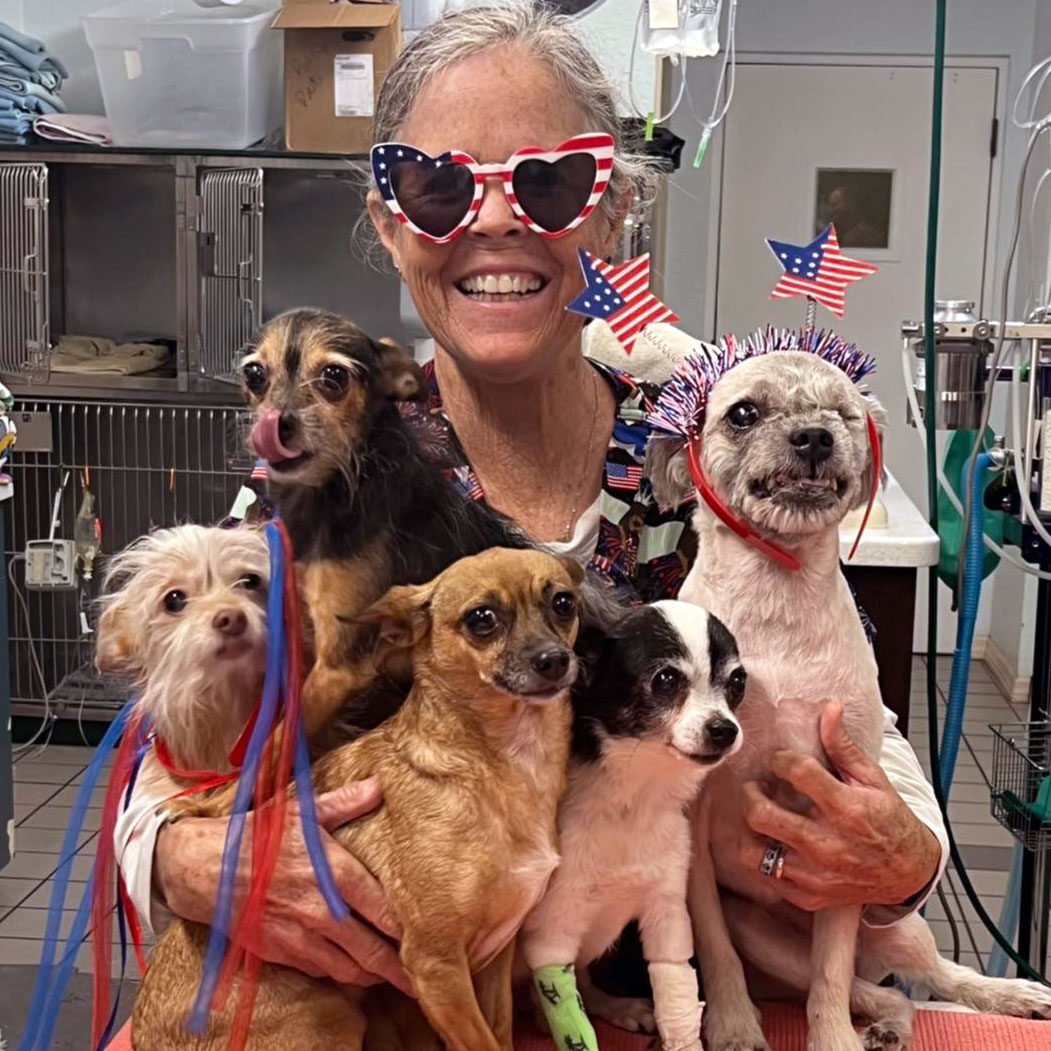 4th Of July Photo With 5 Dogs
