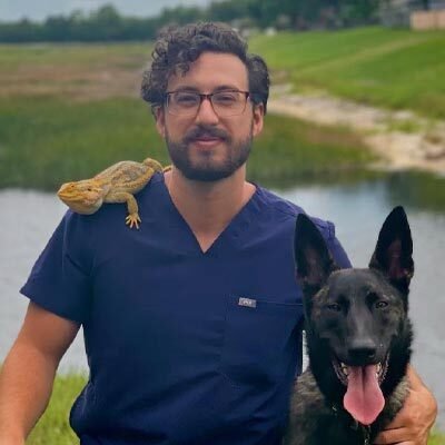 Dr Saraceno