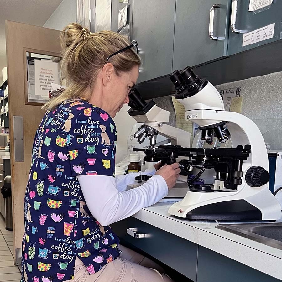Laboratory Testing