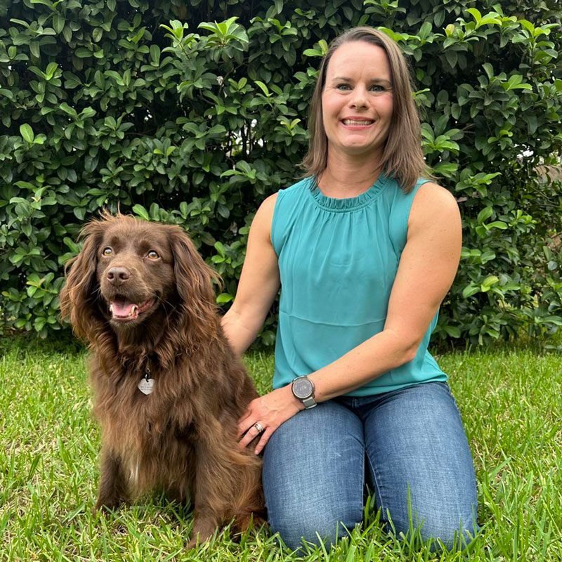 cat and dog teeth cleaning new port richey fl