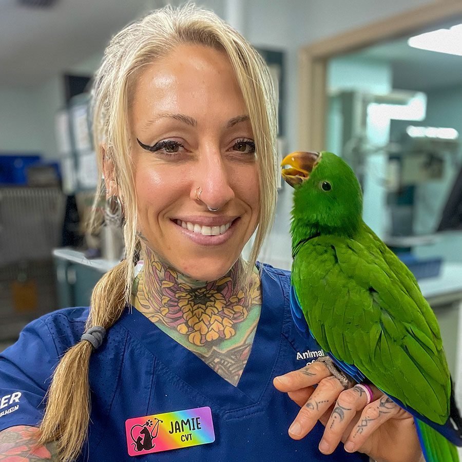 CVT holding bird